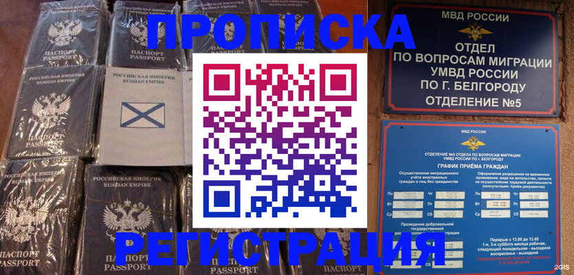 прописка гарантия в Сланцах
